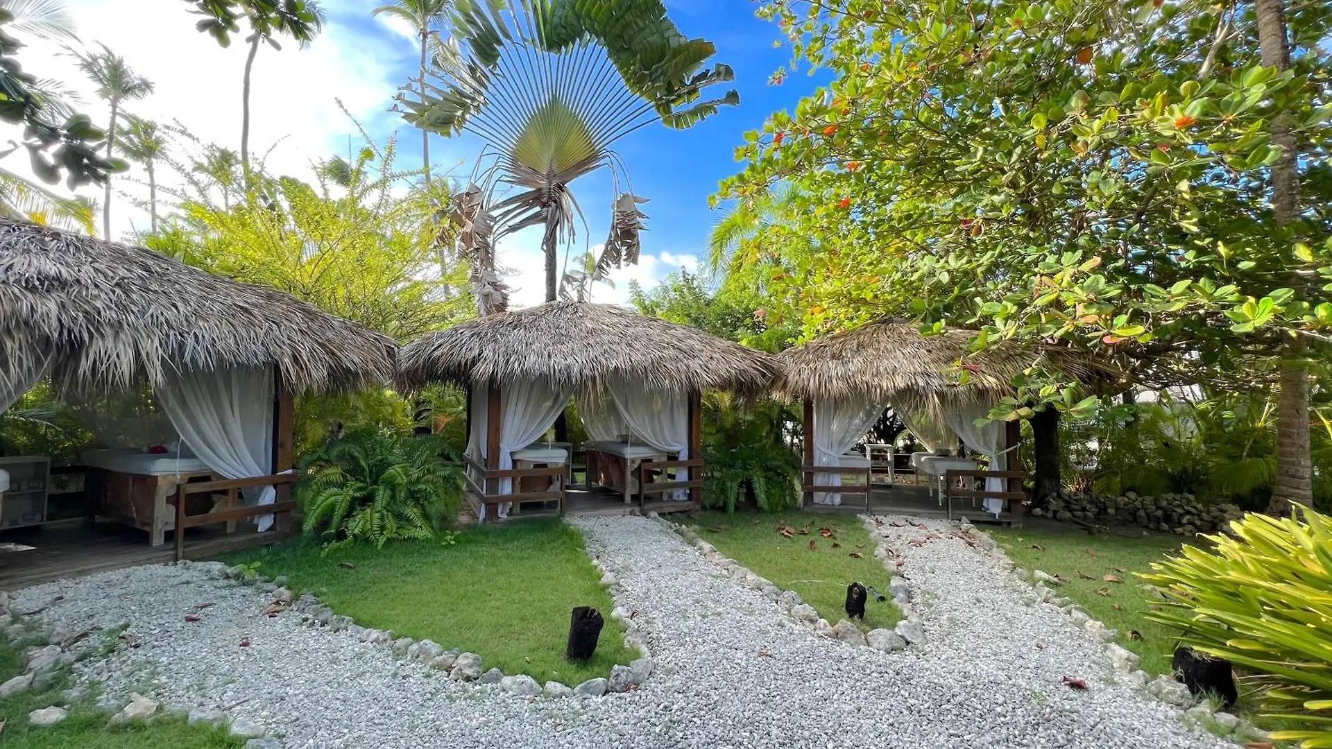 ***** 酒店 Fiesta Sol Caribe Playa Los Corales 蓬塔卡纳 多米尼加共和国